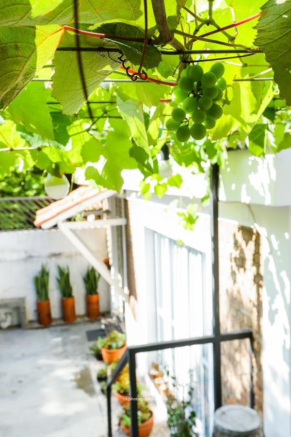 Hostel Grape Wine São Paulo Ngoại thất bức ảnh
