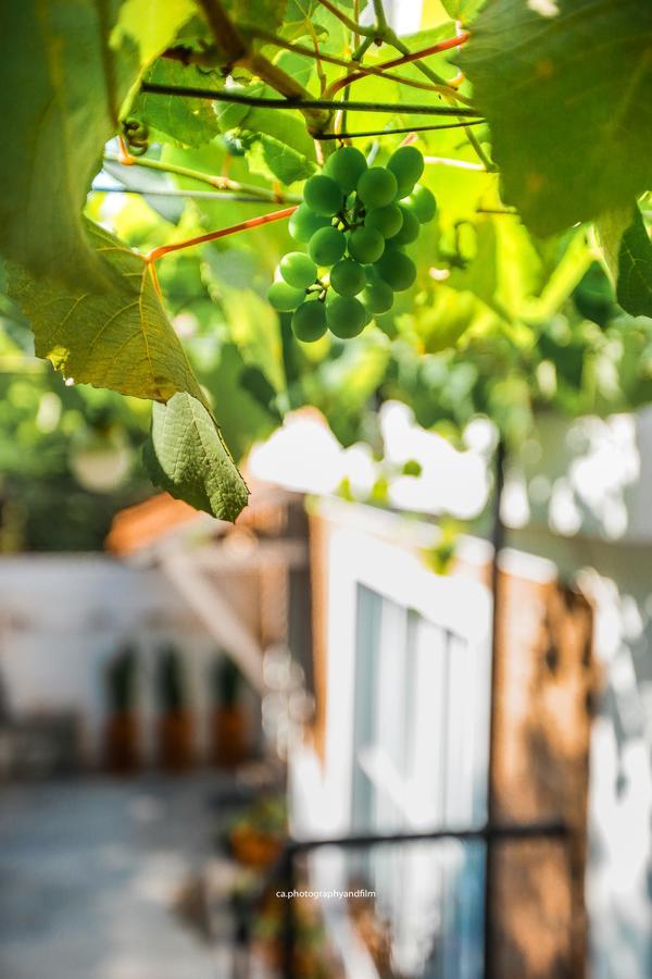 Hostel Grape Wine São Paulo Ngoại thất bức ảnh